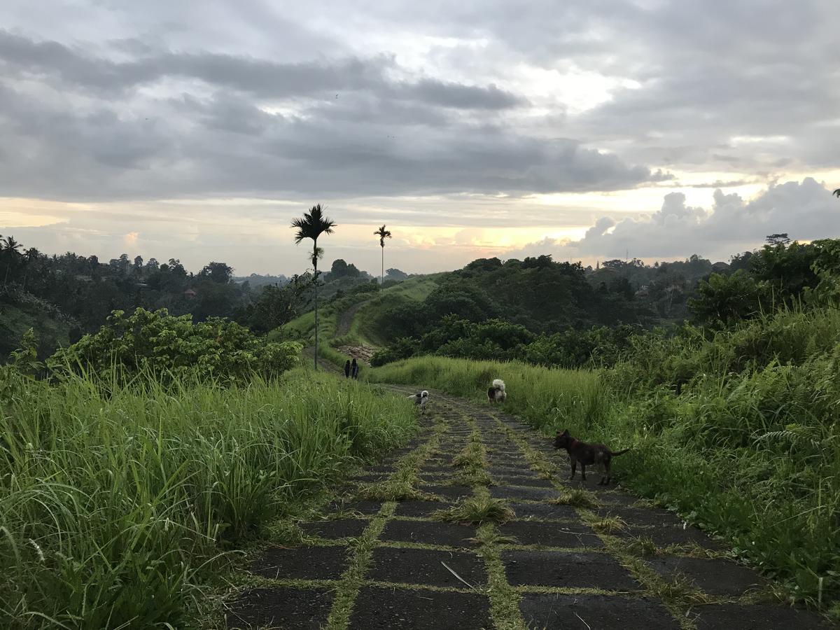 乌布 Ww背包客旅舍旅舍 外观 照片